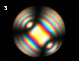 Image result for bertrand lens