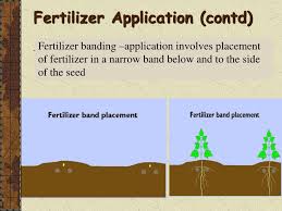method of fertilizer ppt