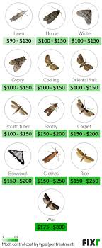 ets fixr com cost guides moth extermination mot