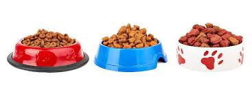 Dog Food Ratings How Does Your Favorite Rank