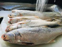 Cara memasak ikan kembung goreng masak asam yang enak aneka resepi sedap. Resepi Dan Cara Masak Kari Ikan Senangin Yang Menyelerakan Blog Cik Matahariku