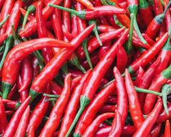 Gambar Cayenne pepper
