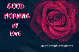 Check spelling or type a new query. Best 75 Good Morning Rose Images Best Collection Of 2020