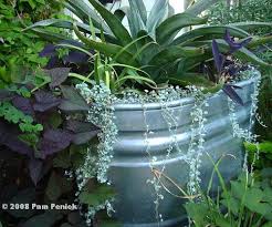 Using Stock Tanks In The Garden Digging