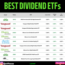 best dividend etfs etf focus on