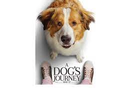 A dog's extraordinary bond with a family deepens when he befriends a young granddaughter, and reincarnates to protect and support her as she grows up. A Dog S Journey Review Emotional Endearing But Cliched