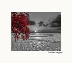 black white red wall art pictures tree