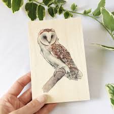 barn owl wooden post card art bird of