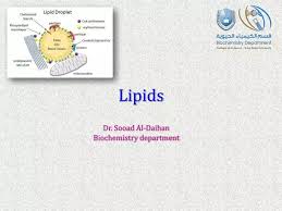 ppt lipid s powerpoint presentation
