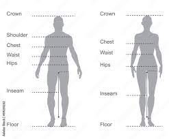 size chart merement diagram body