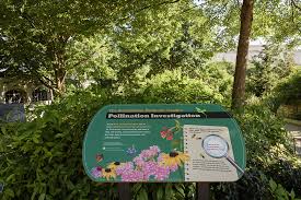 Pollinator Garden At The National