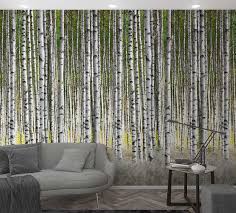 Wall Mural Non Woven Forest Birch Trees