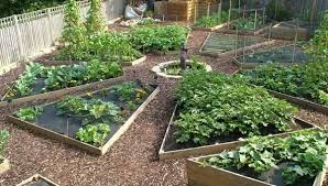Diy Vegetable Herb And Flower Garden