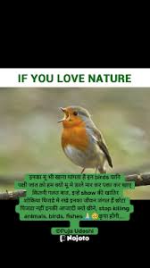 new poem on birds and s in hindi