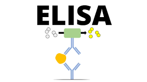 ELISA (Enzyme