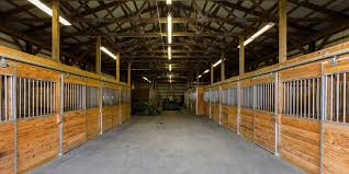 Est Ways To Build A Barn Roofing