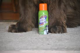 instantly remove muddy paw print stains