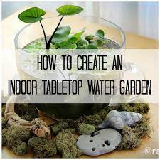 Water Garden Indoor Vegetable Gardening