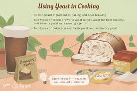 What Is Yeast