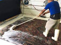 area oriental rug cleaning wellington