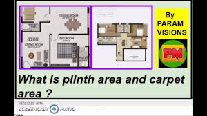 what is plinth area and carpet area