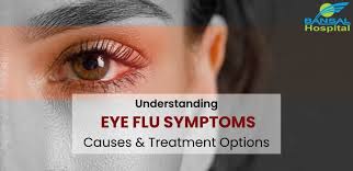 understanding eye flu symptoms causes