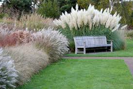 Ornamental Grasses For Landscaping