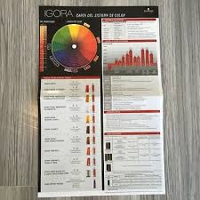 Schwarzkopf Igora System Wall Chart Hair Color Chart English