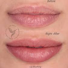 best lips permanent makeup montreal
