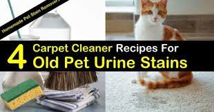 old pet urine stains