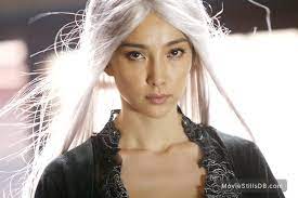 She rose to fame with her role in seventeen years (1999) and since then received critical acclaim for her roles in a world without thieves (2004), waiting alone (2005), the knot (2006), the forbidden kingdom (2008). The Forbidden Kingdom Publicity Still Of Li Bingbing