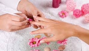 nails co edina nail salon and spa