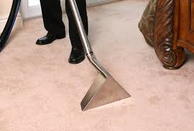 the best carpet cleaning northern beaches