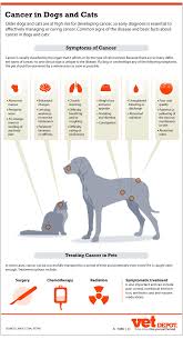 signs of cancer in dogs cats