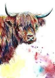 Pen Colourful Highland Cow Painting