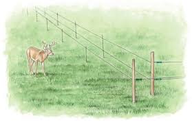 electric fence for your farm