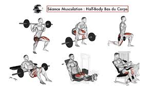 séance musculation 8 half body bas