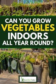 Grow Vegetables Indoors All Year Round