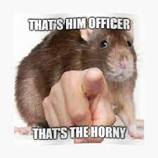 That's him officer thats's the horny - rat meme