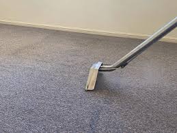 sunshine coast carpet cleaning tips and