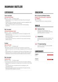 The Best 2019 Executive Resume Example Guide