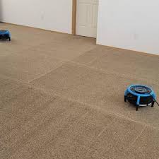 idaho green carpet clean carpet