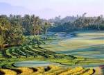 Nirwana Bali Resort | Greg Norman Golf Course Design