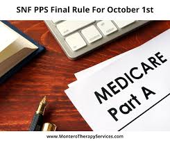 snf care part a final rule for