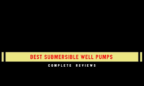 7 Best Submersible Well Pumps In 2019 Reviews Tips The10pro