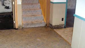 Moist Basements Troubles And Prone