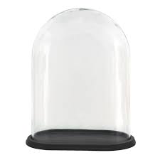 Wood Glass Oval Glass Bell Jar