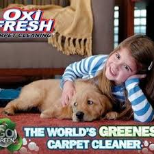 carpet cleaner al in denton tx