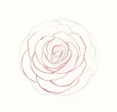 how to draw roses an easy and