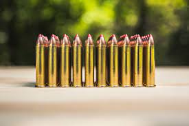 best 22 mag ammo wideners shooting